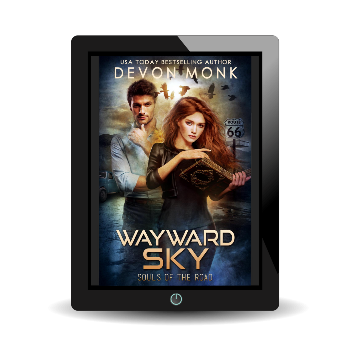 WAYWARD SKY (EBOOK) - Book 3